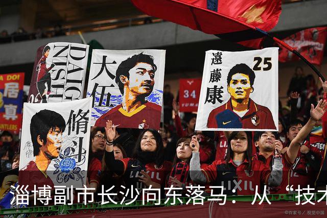淄博副市长沙向东落马：从“技术型”干部到任上被查的警示